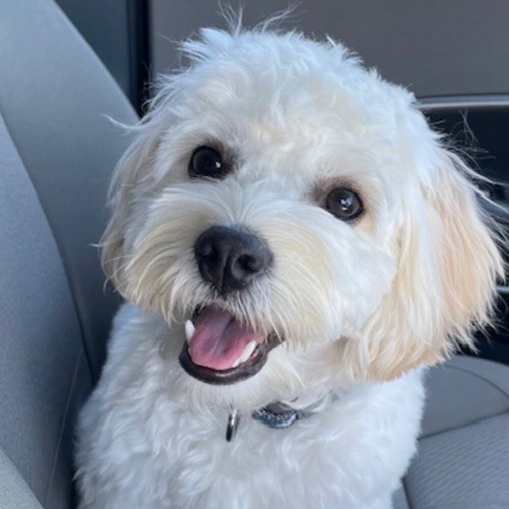 Meet your Posher, Nadia